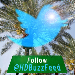 Suivez @HDBuzzFeed sur Twitter pour des mises à jour de la Conférence, en direct.