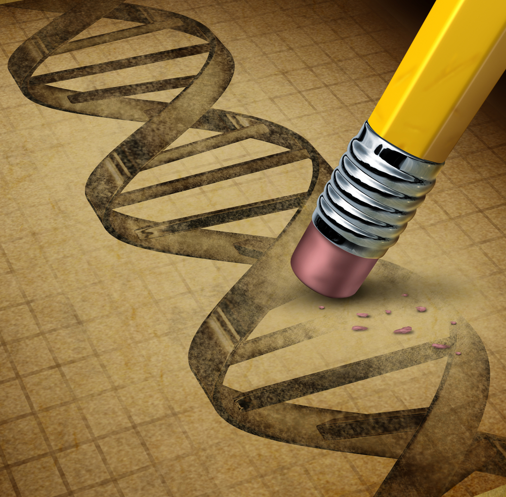 Les techniques de modification des gĂšnes entraĂźnent une modification permanente du code ADN.