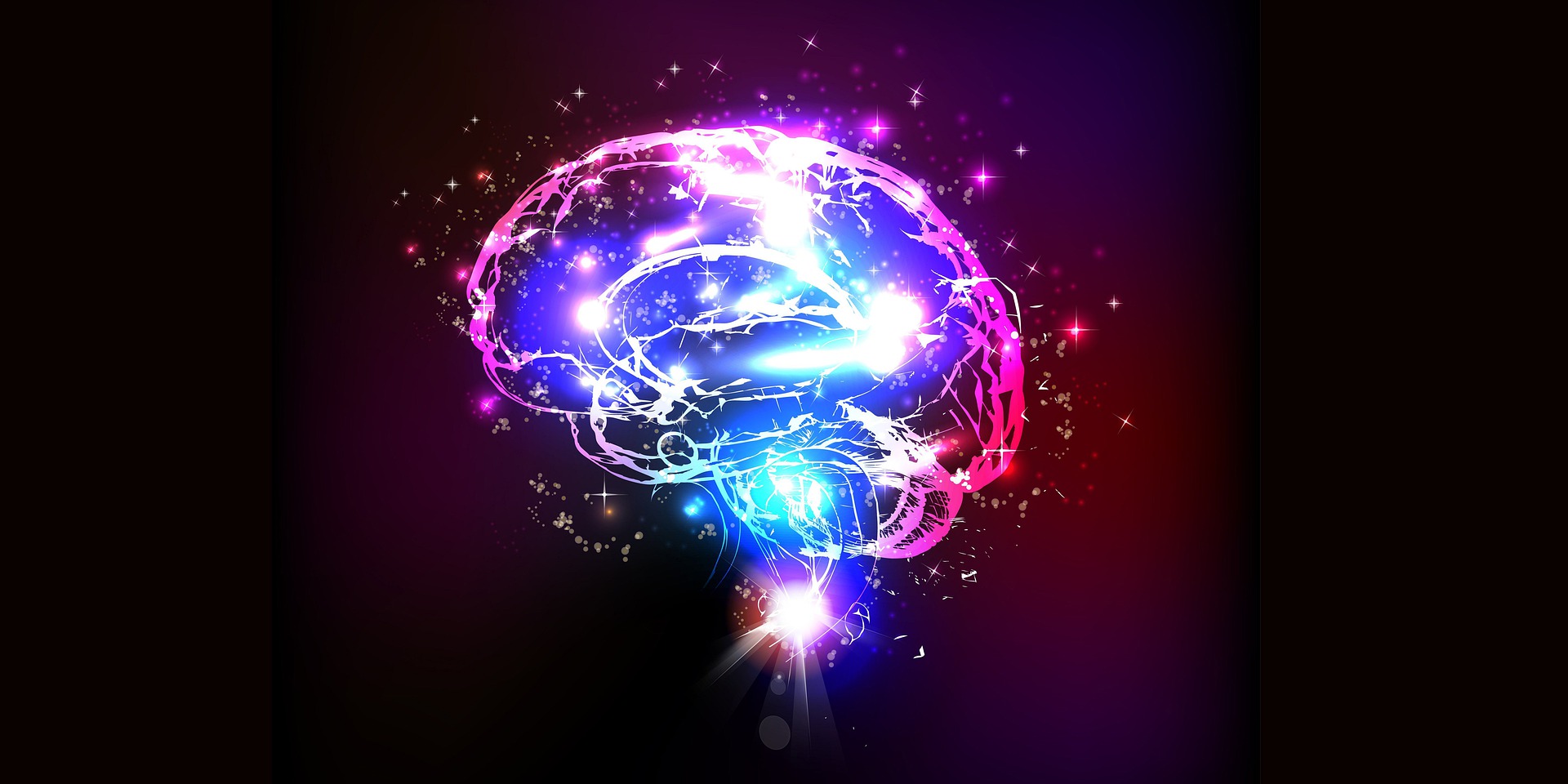 Les Ă©chantillons de cerveau post-mortem sont des matĂ©riaux extrĂȘmement prĂ©cieux qui aident la recherche Ă Ă©claircir exactement ce qui se passe chez les personnes atteintes de MH.