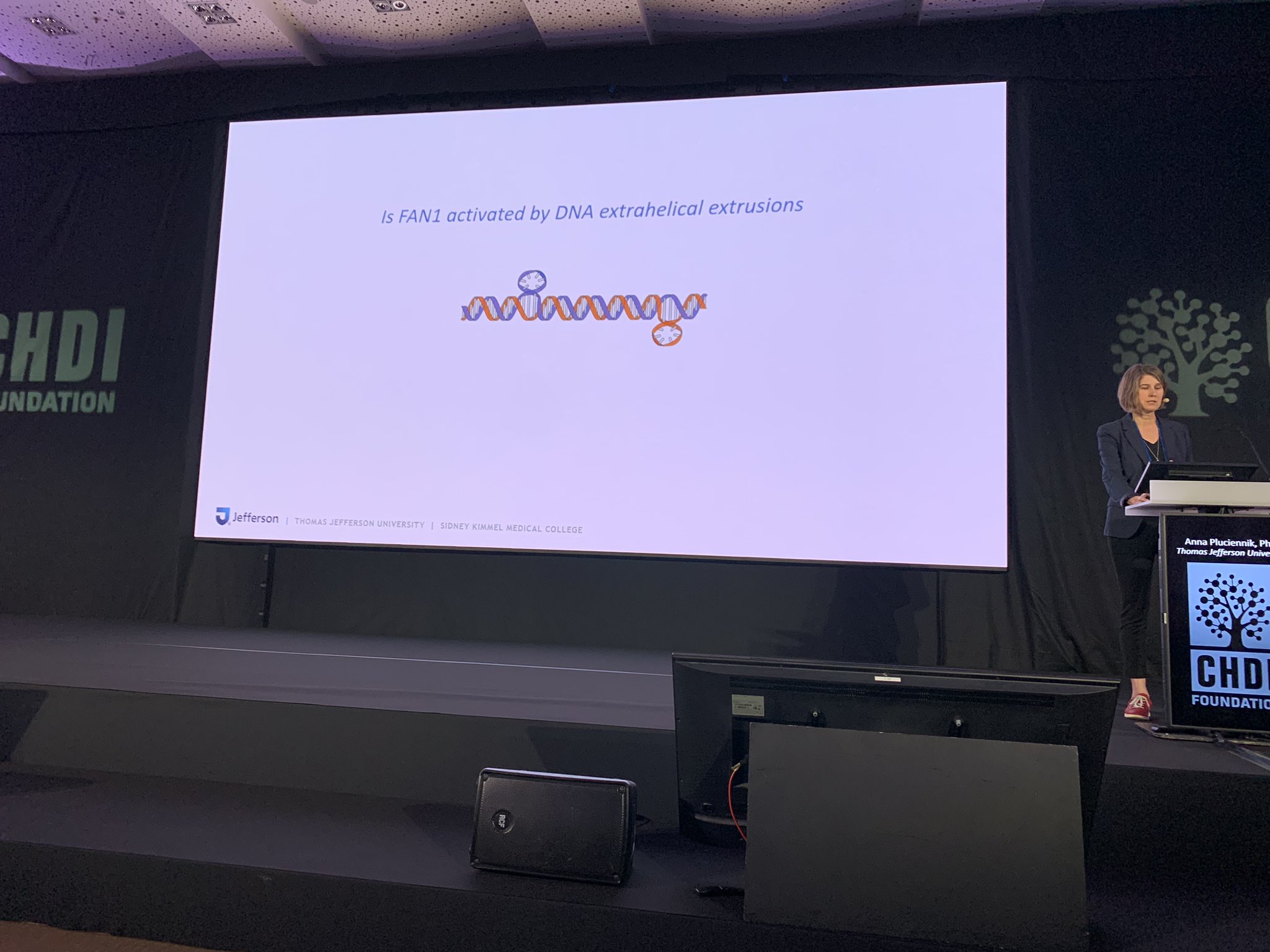 Dr Anna Pluciennik montrant des extrusions d'ADN. Ils rendent l'ADN un peu bizarre ! Les protéines de réparation des mésappariements aident à le réparer.