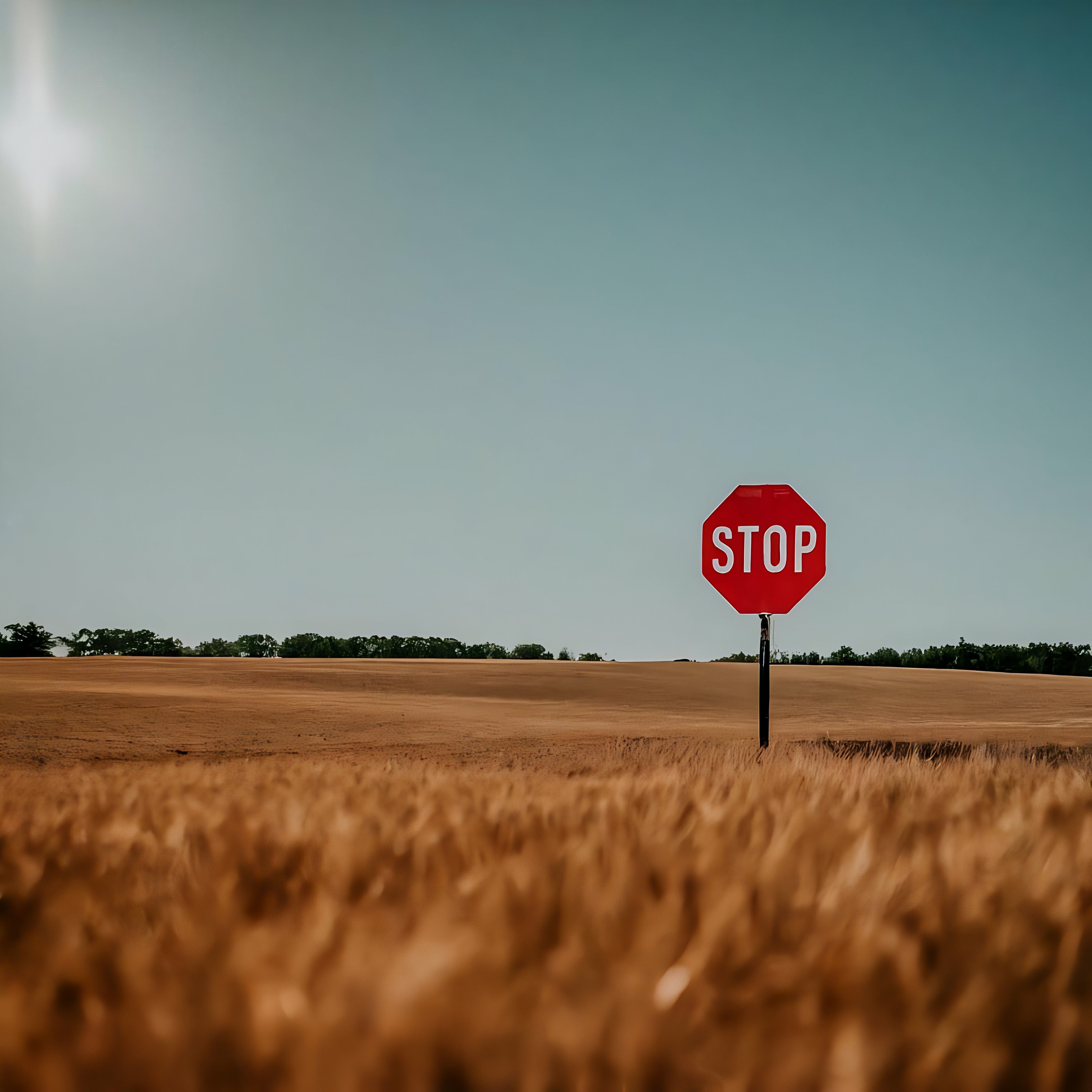 Les modulateurs d'épissage, comme le branaplam et le risdiplam, agissent pour réduire les niveaux de protéines en ajoutant un signal d'arrêt au milieu d'un message génétique. La cellule reconnaît que le signal d'arrêt n’est pas à sa place, que le message n’a pas de sens et ne prend pas la peine de transformer le message en protéine.