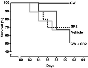 Ce graphique montre l'effet de GW sur la survie des souris R6/2. Chaque fois qu'une souris meurt, la ligne descend. La ligne 'GW' ne descend pas du tout au cours de l'essai. Les autres lignes sont des groupes de souris 'contrôle'.  