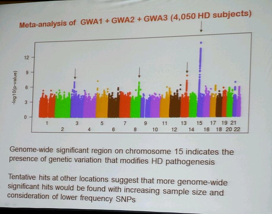 Les données de Gusella portant sur plus de 4 000 patients volontaires suggèrent qu'une modification génétique peut être trouvée sur le chromosome 15.  