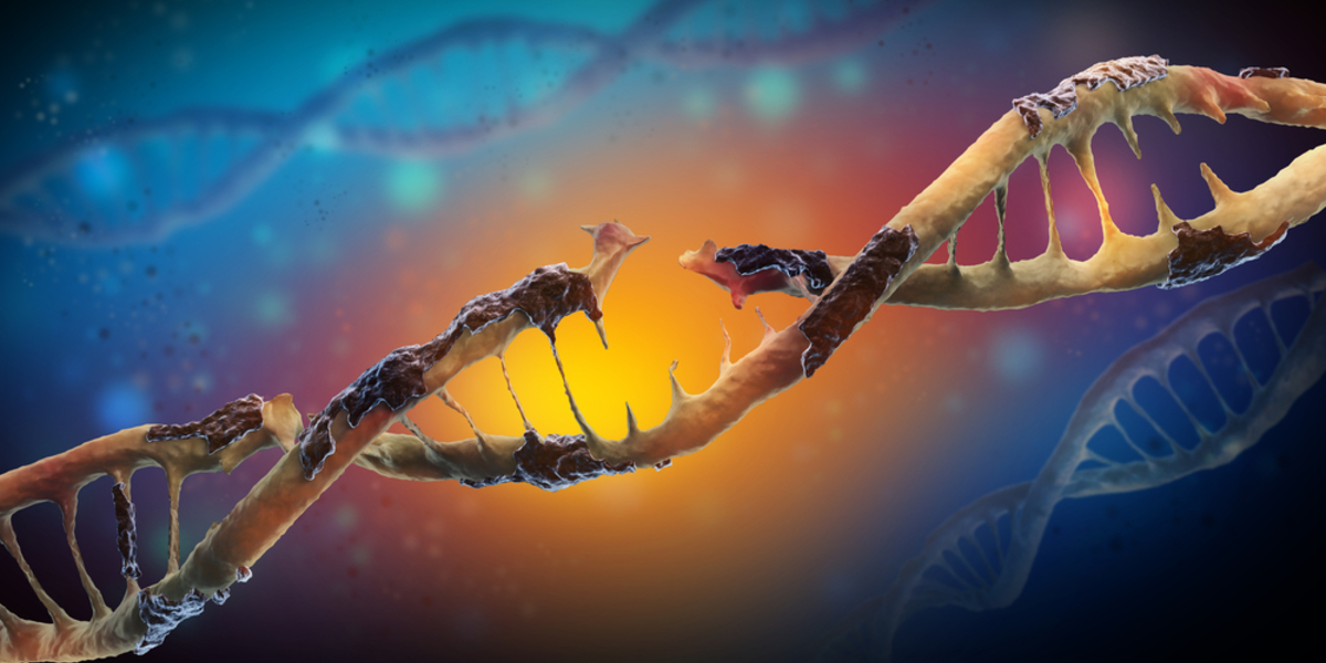 Des cibles médicamenteuses importantes issues d'une nouvelle étude génétique de la MH