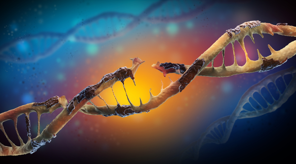 Les dommages à l'ADN sont des changements physiques de l'ADN : tels que des cassures de l'un ou des deux brins de la molécule d'ADN, ou une substance biologique gluante qui est collée au code.  