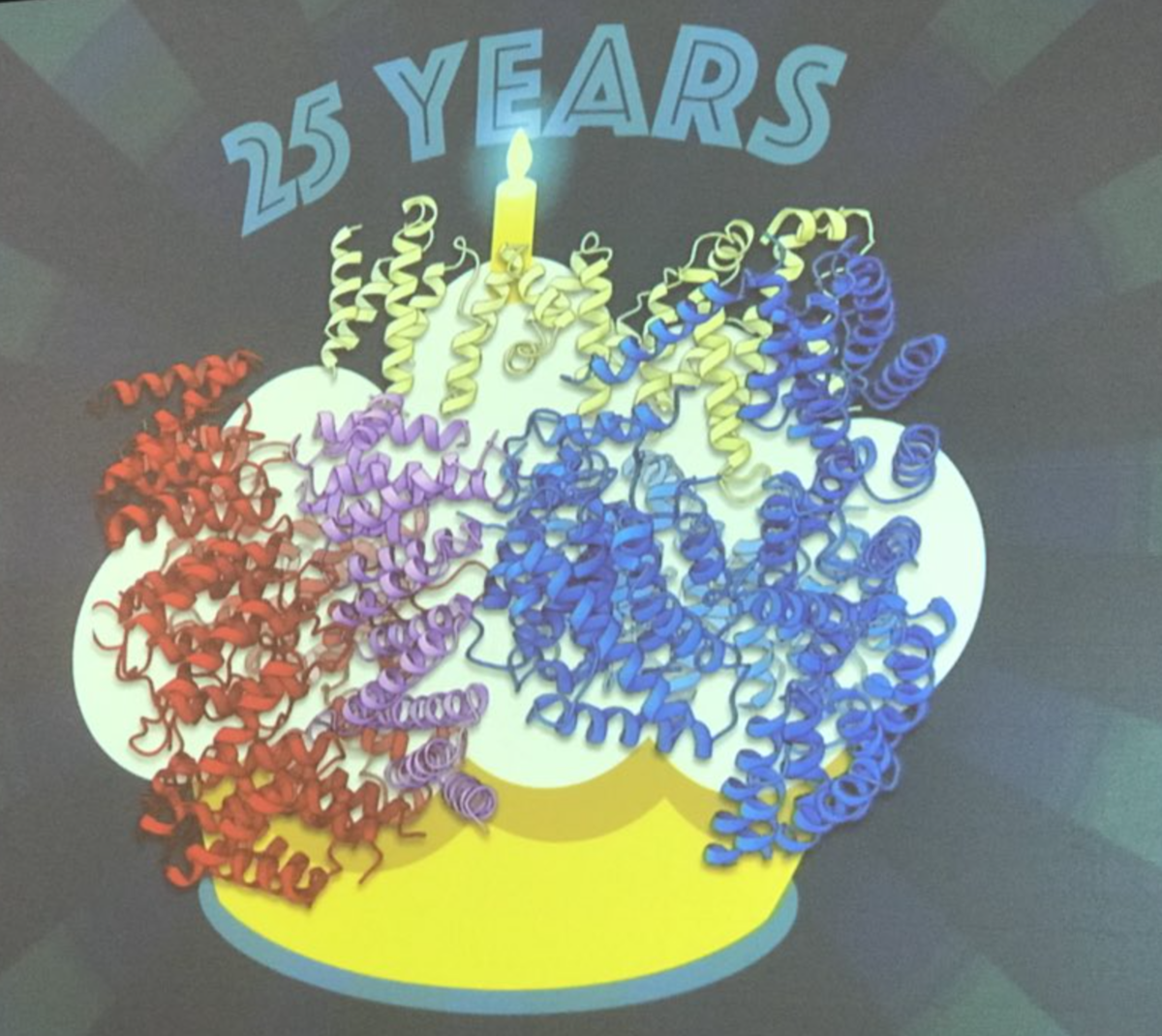 La structure de la protéine huntingtine présentée par le Dr Kochanek comme un gâteau d'anniversaire pour le 25ème anniversaire de la découverte du gène MH  