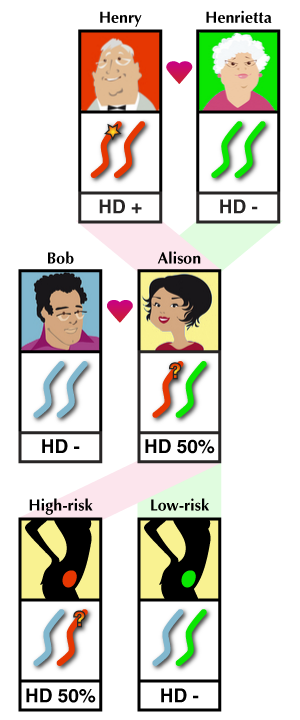 Le diagnostic génétique préimplantatoire d'exclusion. Chaque fétus de Alison et Bob ont hérité d´un chromosome 4 de Henry ou Henrietta. Le chromosome provenant de Henry peut comporter le gène responsable pour la MH. Le diagnostic d´exclusion révèle que l´embryon a hérité de la copy du chromosome 4 provenant de Henrietta et donc a faible risqué.  