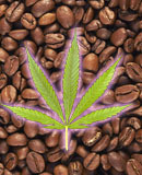 #Caféine, cannabis et Caution