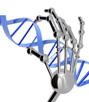 Doigt d'honneur à la maladie de Huntington ? Deux équipes rapportent le succès des médicaments à doigts de zinc chez les cellules et les souris.