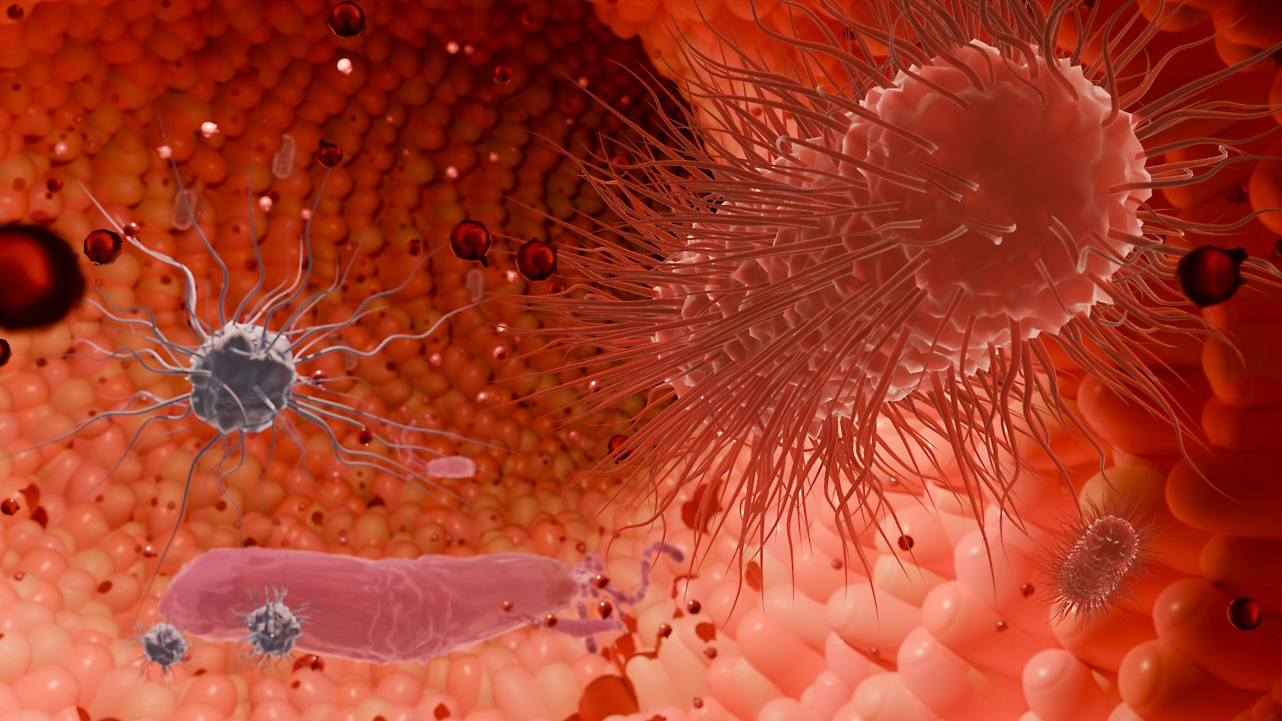 Nourrir le cerveau par l’intestin : comment les prébiotiques pourraient influencer la maladie de Huntington