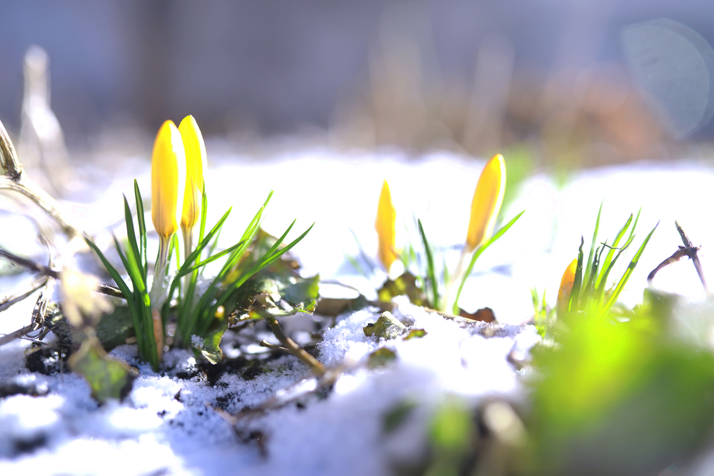 Mars 2026 : ce mois-ci dans la recherche sur la maladie de Huntington